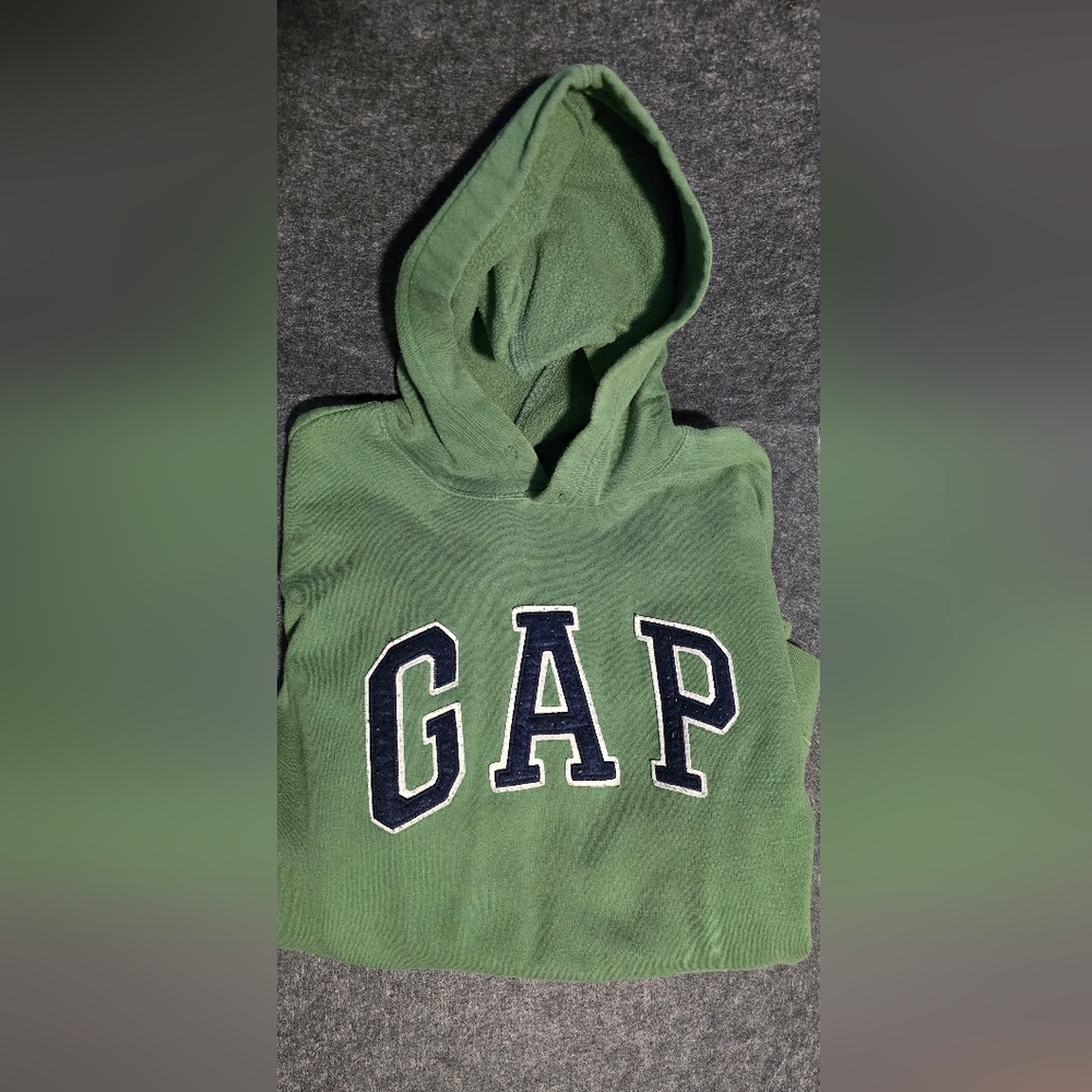 GAP Sage Pullover Hoodie